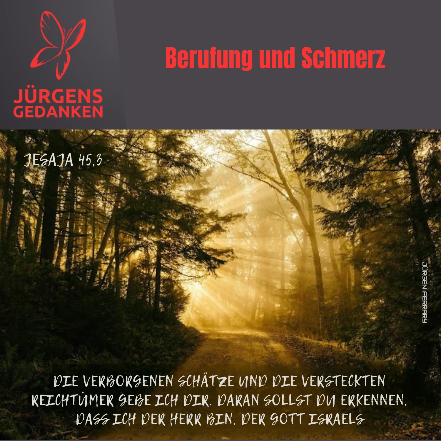 Waldweg durch Sonnenstrahlen erleuchtet