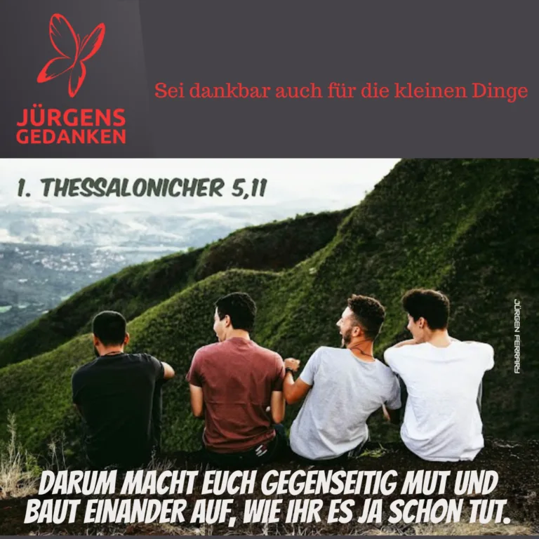 vier Männer in den Bergen
