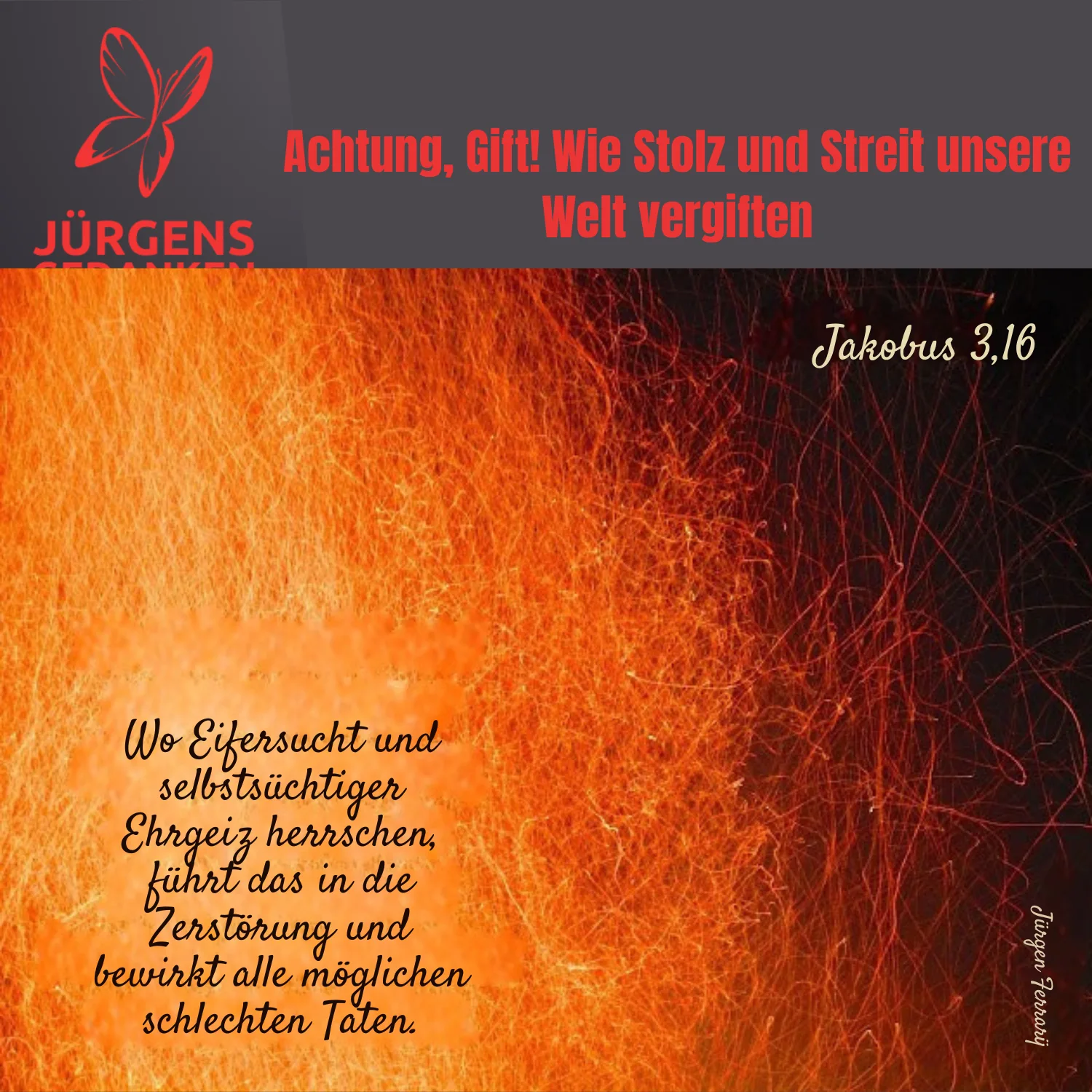 orange Wolle