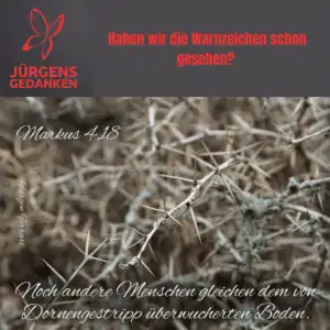 Dornengebüsch