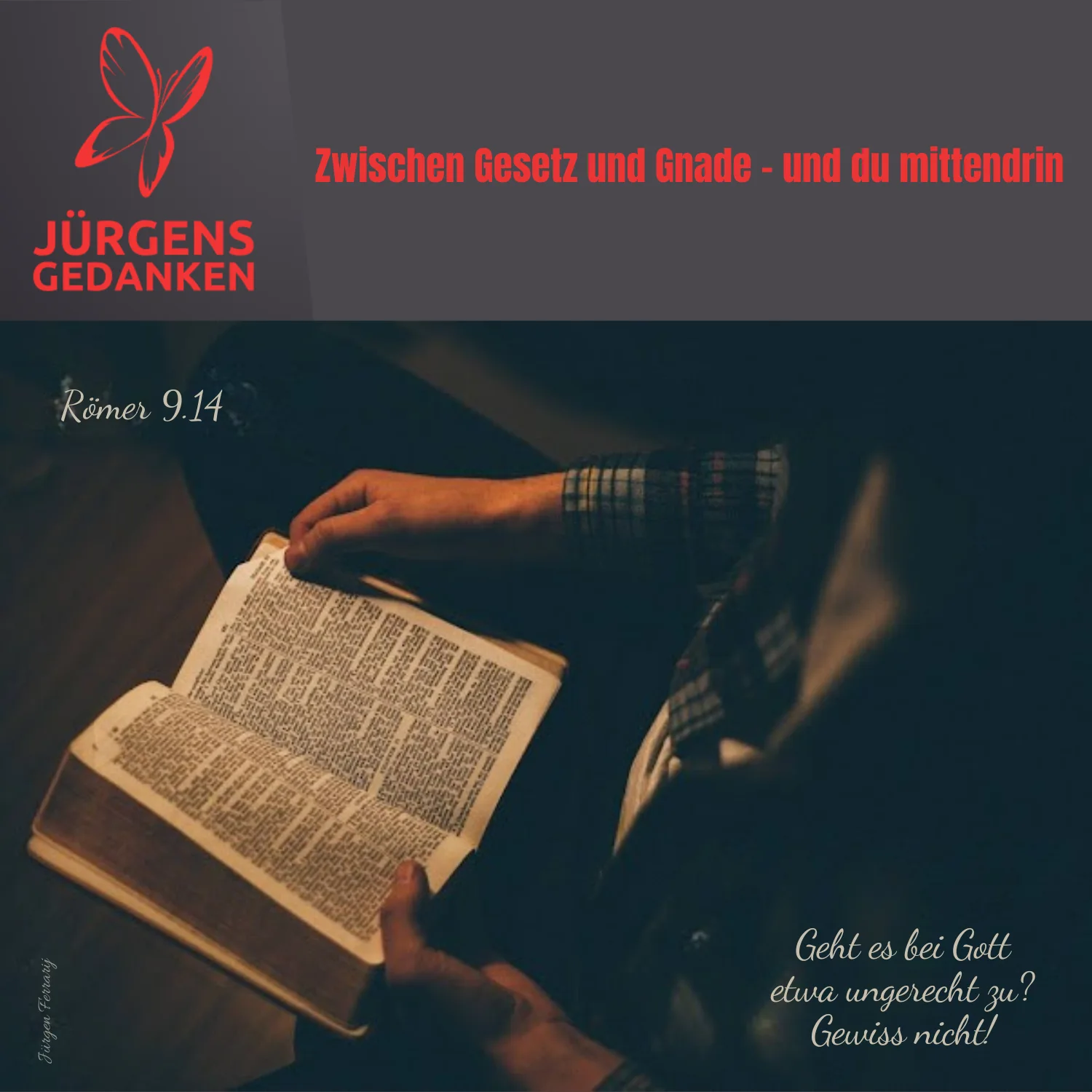 Mensch liest in der Bibel