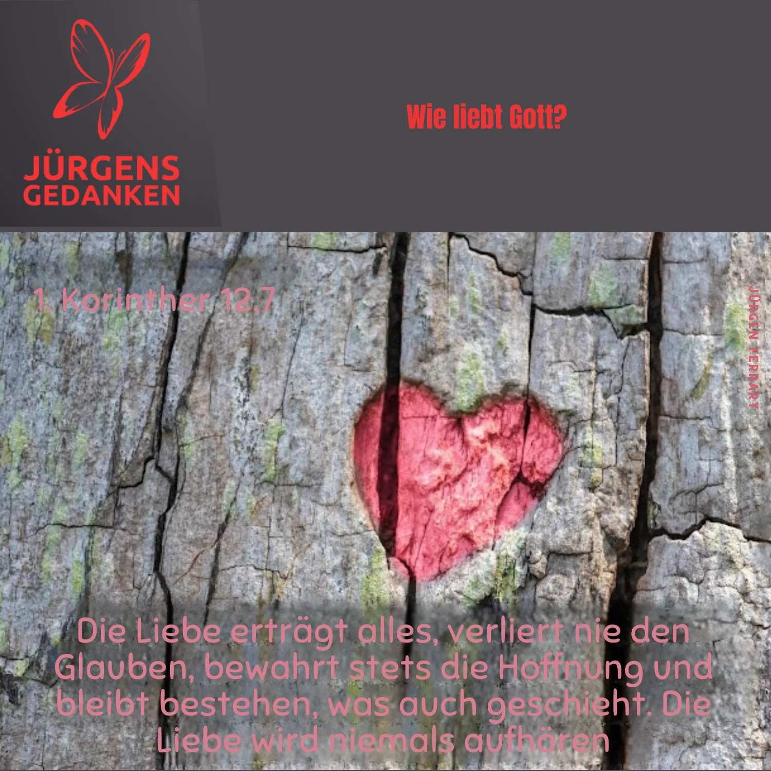 Herz in Baumrinde eingritzt