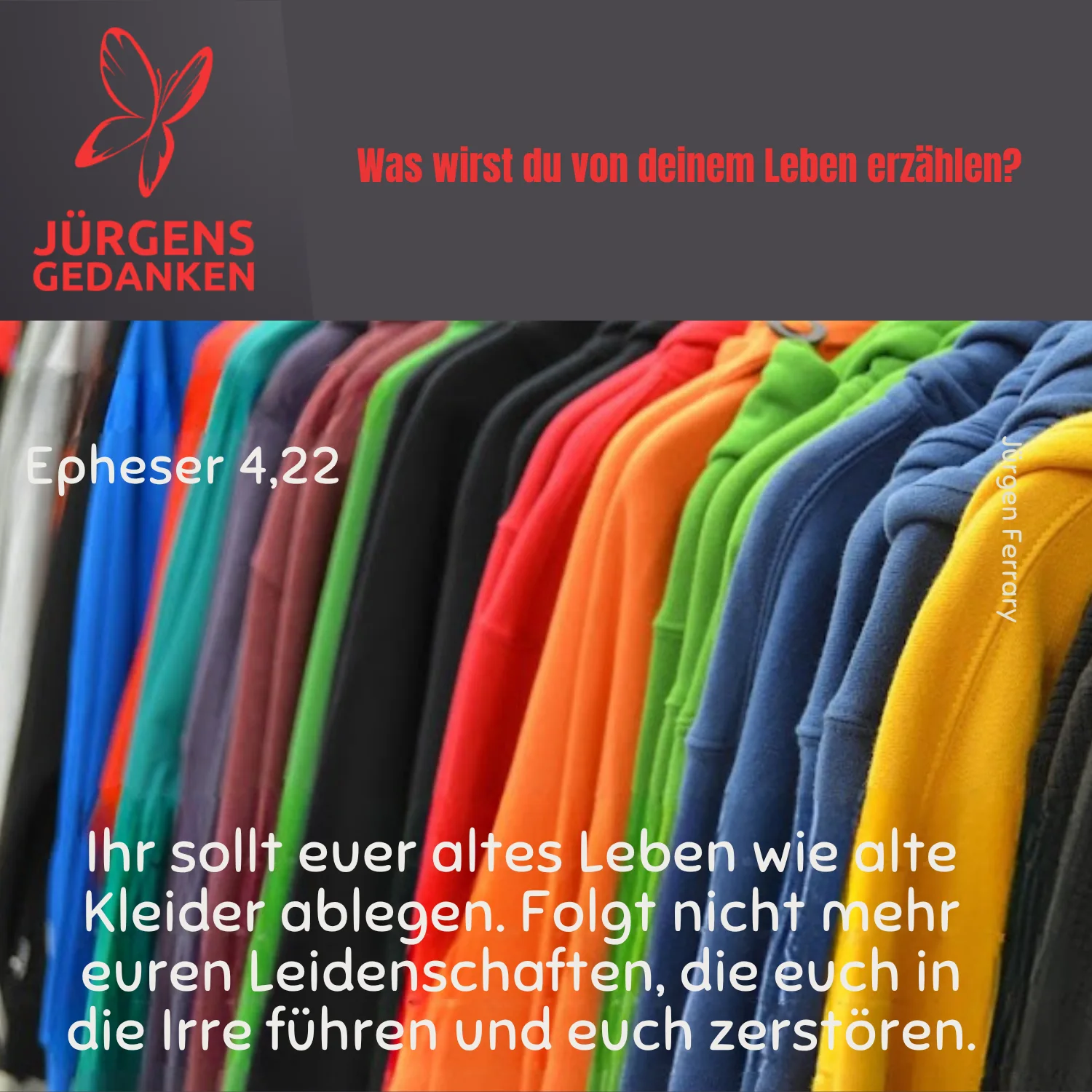 Jacken in vielen Farben