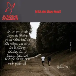 zwei Radfahrer fahren durch den Wald
