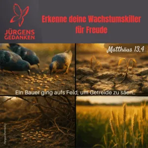 Tauben picken Körner