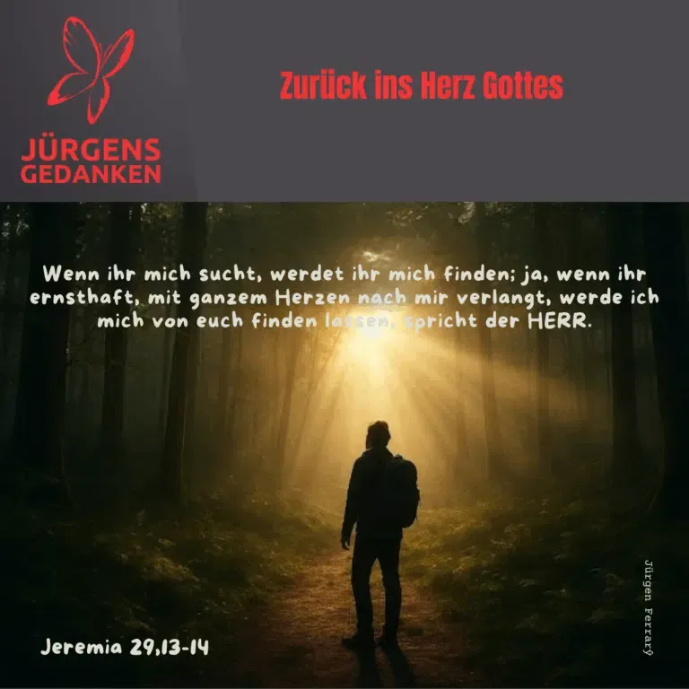 Mann läuft der Sonne auf einem Waldweg entgegen