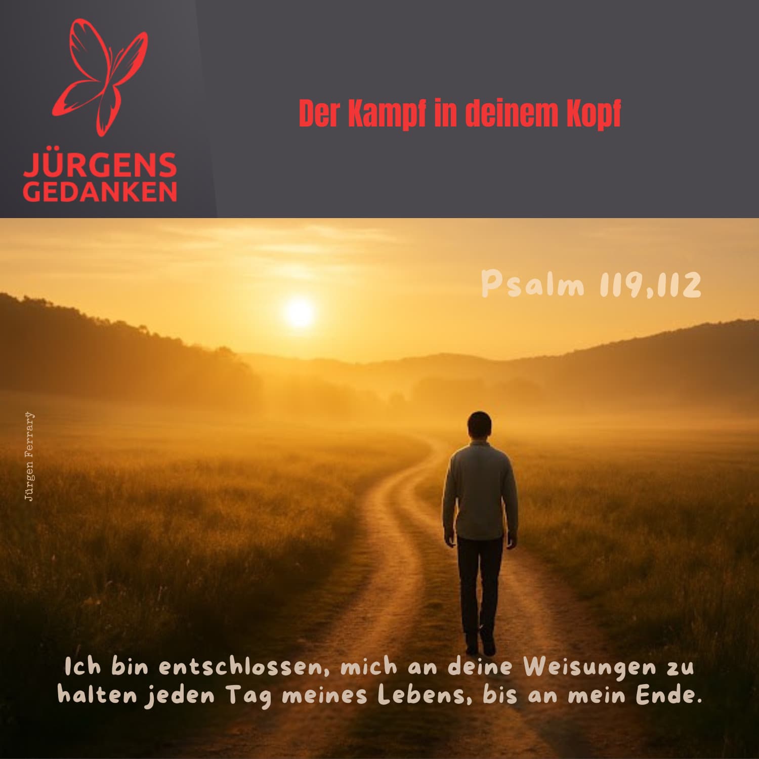 Mann wandert der Sonne entgegen