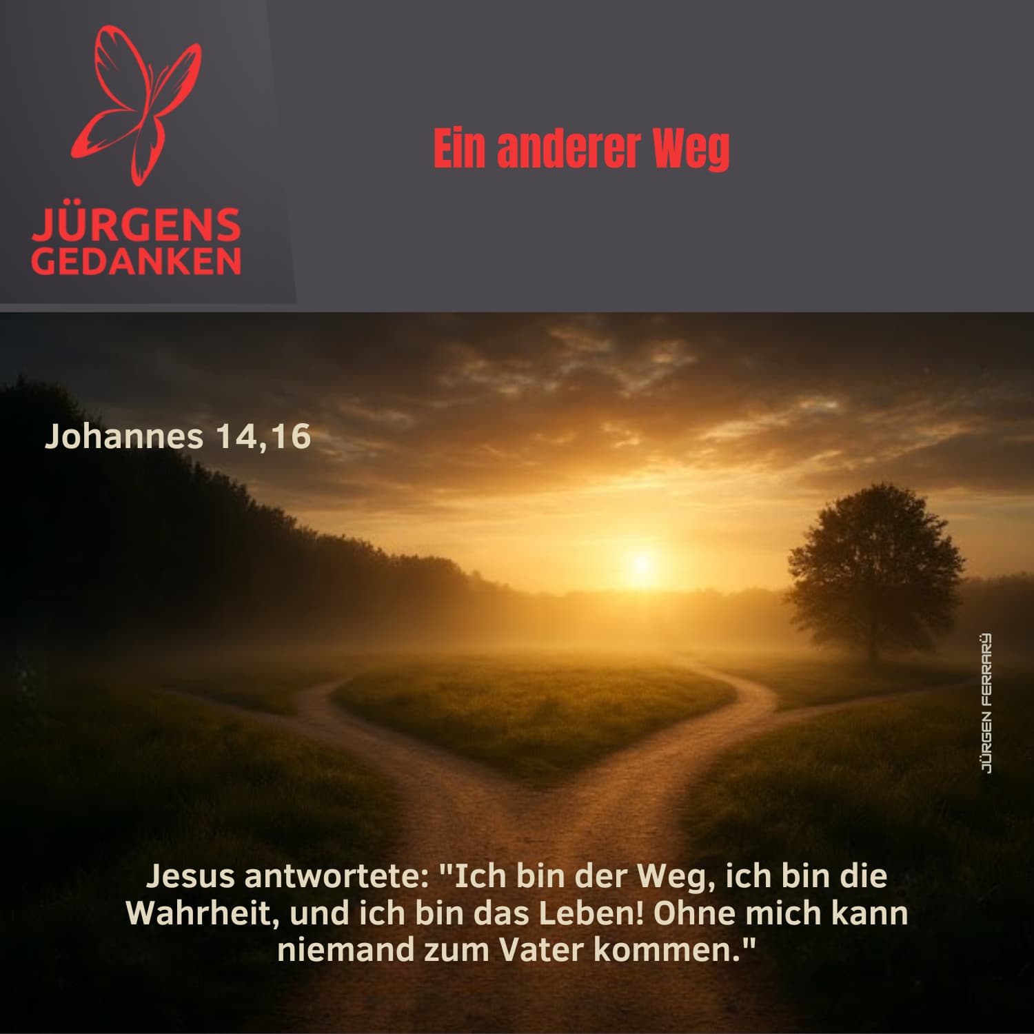 Weg in der Abendsonne