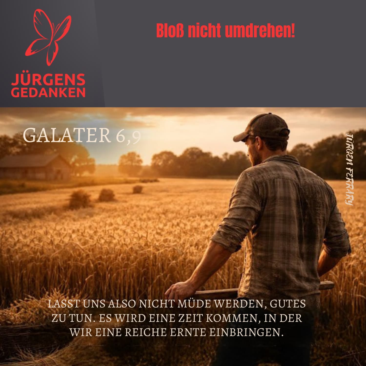 Mann auf dem Feld bei der Ernte