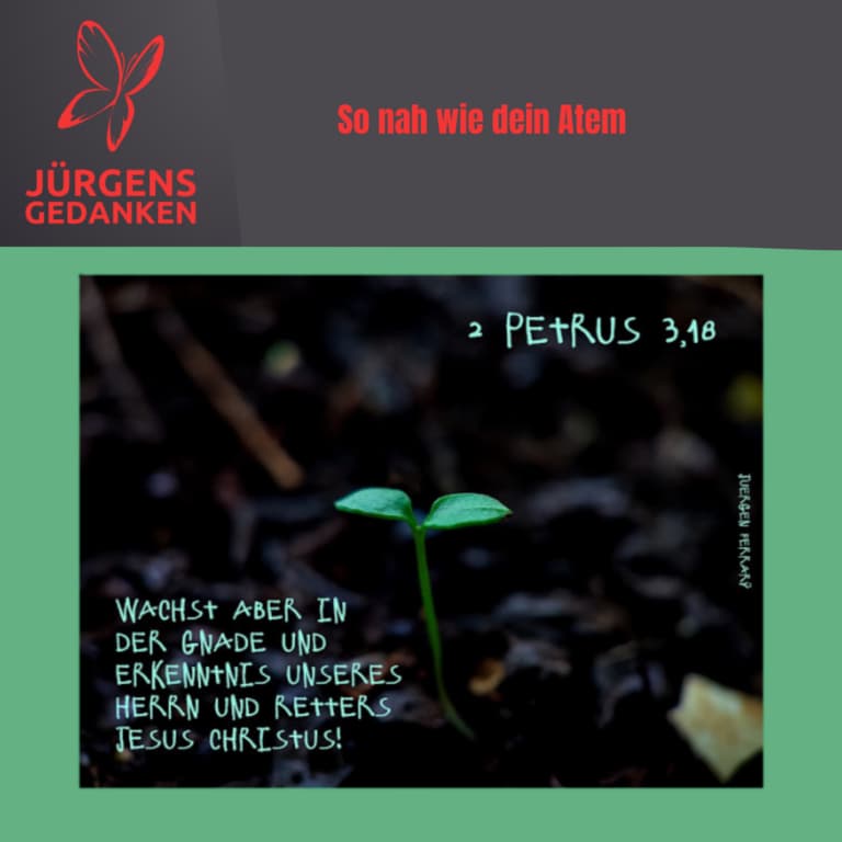 Junge Pflanze schaut aus die Erde