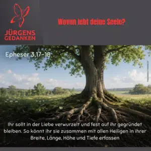 Baum mit starken Wurzeln